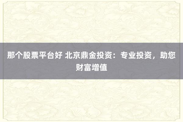 那个股票平台好 北京鼎金投资：专业投资，助您财富增值