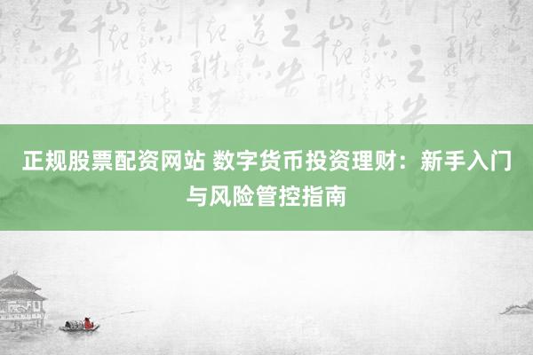 正规股票配资网站 数字货币投资理财：新手入门与风险管控指南
