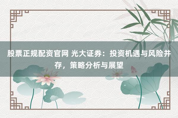 股票正规配资官网 光大证券：投资机遇与风险并存，策略分析与展望