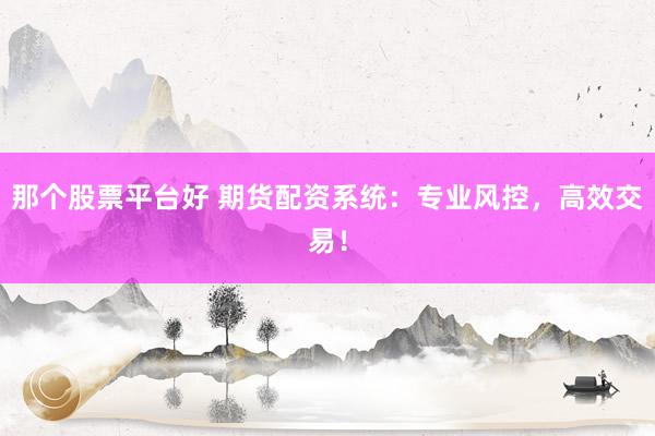 那个股票平台好 期货配资系统：专业风控，高效交易！