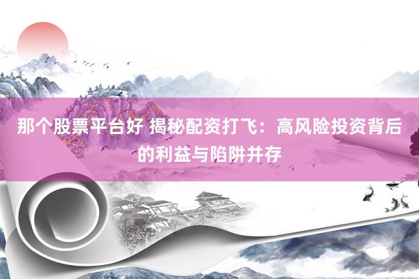 那个股票平台好 揭秘配资打飞：高风险投资背后的利益与陷阱并存