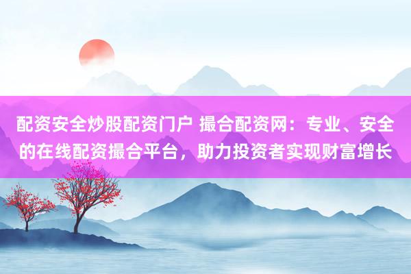 配资安全炒股配资门户 撮合配资网：专业、安全的在线配资撮合平台，助力投资者实现财富增长