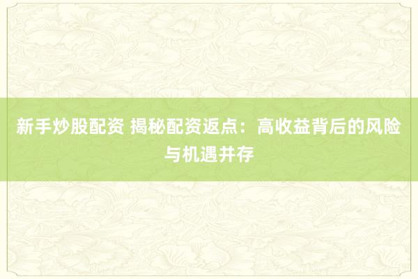 新手炒股配资 揭秘配资返点:高收益背后的风险与机遇并存